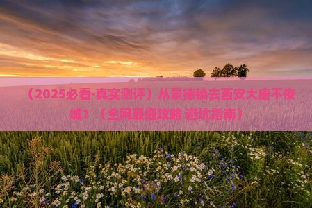 景德镇到西安大唐不夜城必去地