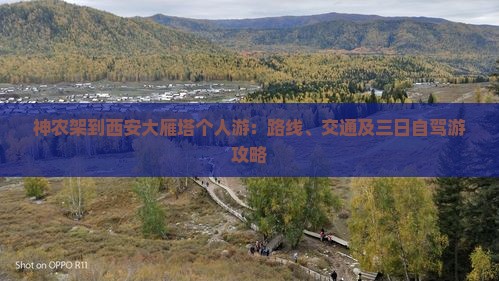 神农架到西安大雁塔个人游