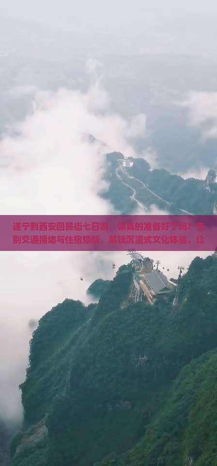 遂宁到西安回民街七日游