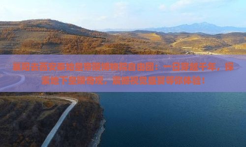 襄阳去西安秦始皇帝陵博物院自由团