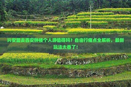 兴安盟去西安钟楼个人游