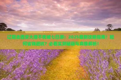 辽阳去西安大唐不夜城七日游