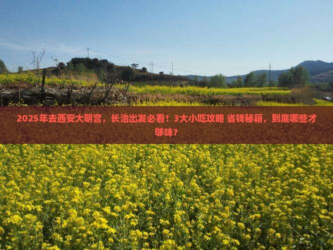 长治到西安大明宫国家遗址公园旅游小吃