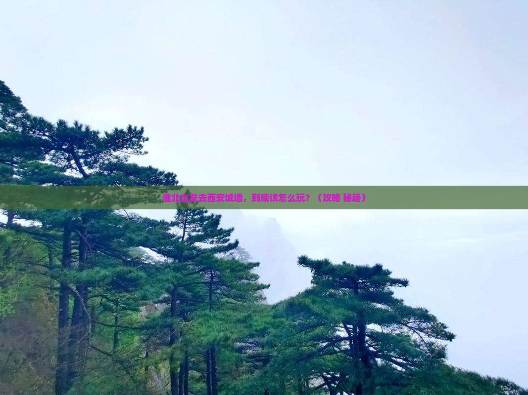 淮北到西安城墙哪里玩