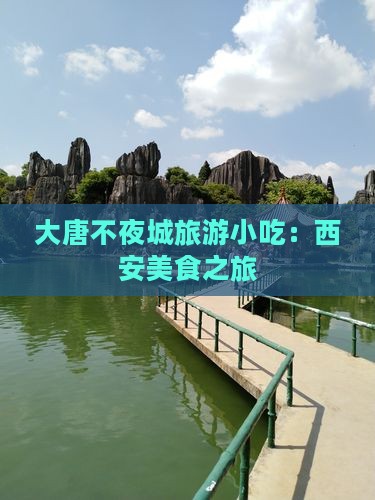 营口到西安大唐不夜城旅游小吃