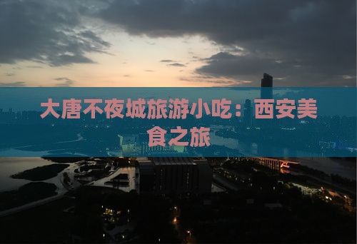 营口到西安大唐不夜城旅游小吃