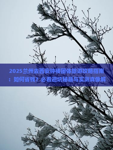 兰州去西安钟楼团体旅游