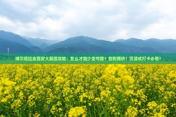 博尔塔拉去西安大雁塔攻略