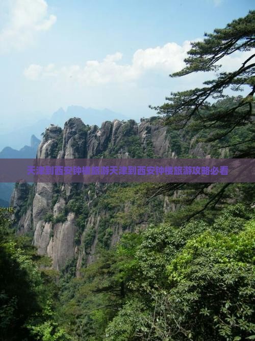 天津到西安钟楼旅游
