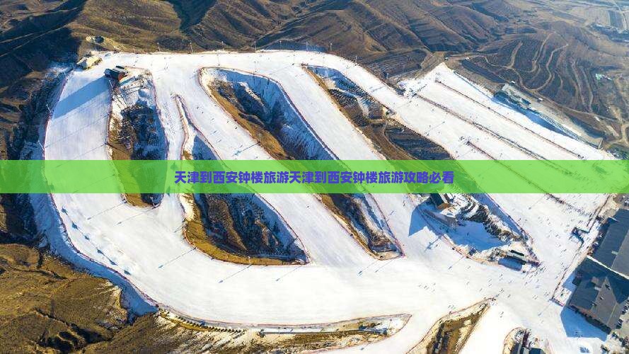 天津到西安钟楼旅游