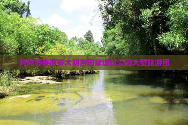 阿克苏去西安大明宫国家遗址公园大型旅游团