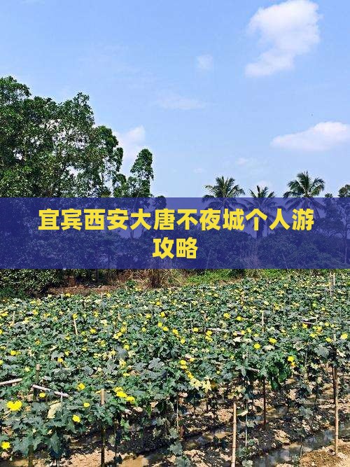 宜宾去西安大唐不夜城个人游 宜宾去西安大唐不夜城个人游