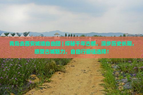 青岛去西安城墙自由团