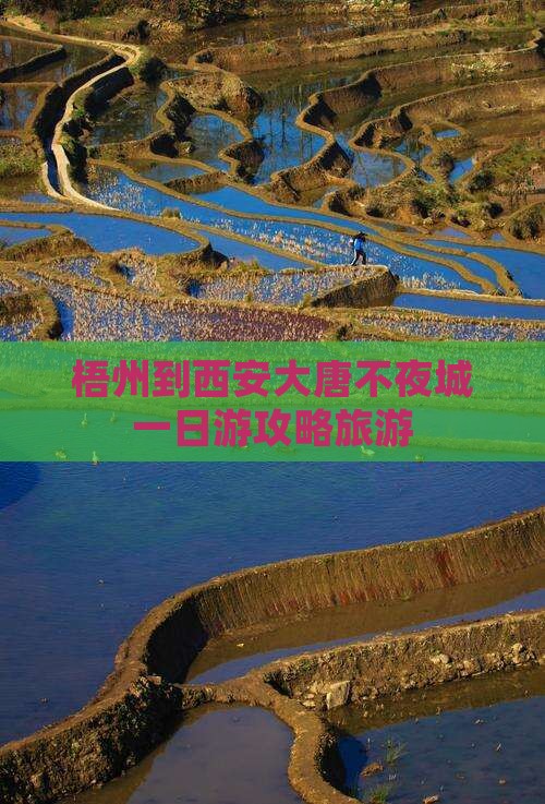 梧州到西安大唐不夜城一日游
