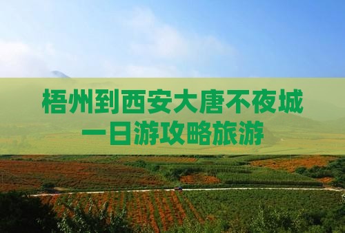 梧州到西安大唐不夜城一日游