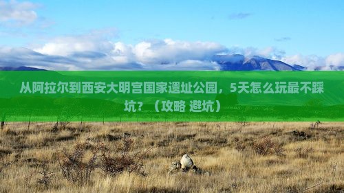 阿拉尔到西安大明宫国家遗址公园旅行社