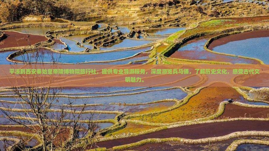 平凉到西安秦始皇帝陵博物院旅行社
