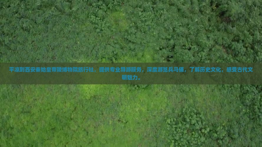 平凉到西安秦始皇帝陵博物院旅行社