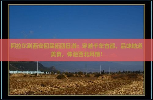 阿拉尔到西安回民街四日游
