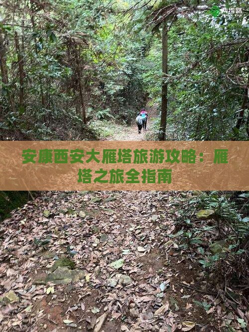 安康去西安大雁塔个人游