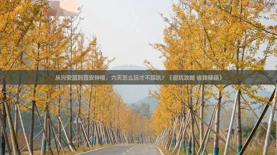 兴安盟去西安钟楼六日游