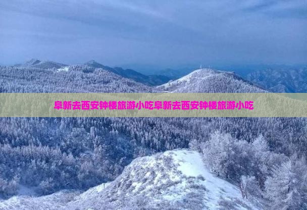 阜新去西安钟楼旅游小吃