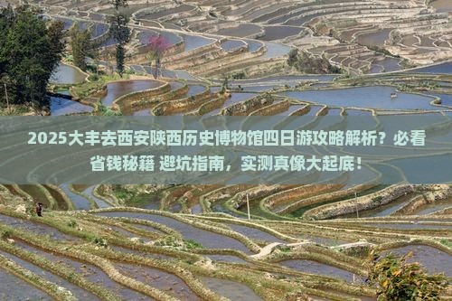 大丰去西安陕西历史博物馆四日游