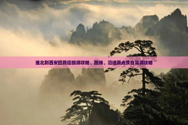 淮北到西安回民街旅游