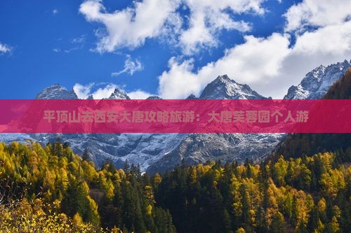 平顶山去西安大唐芙蓉园个人游