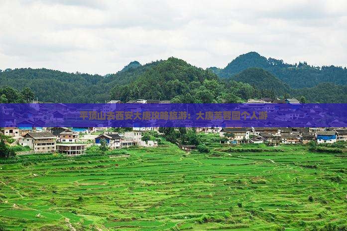 平顶山去西安大唐芙蓉园个人游