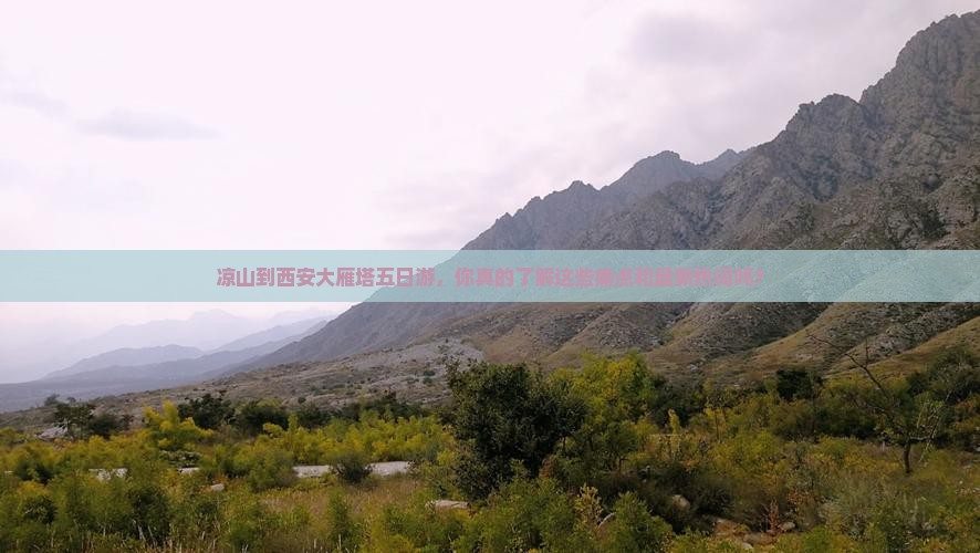凉山到西安大雁塔五日游