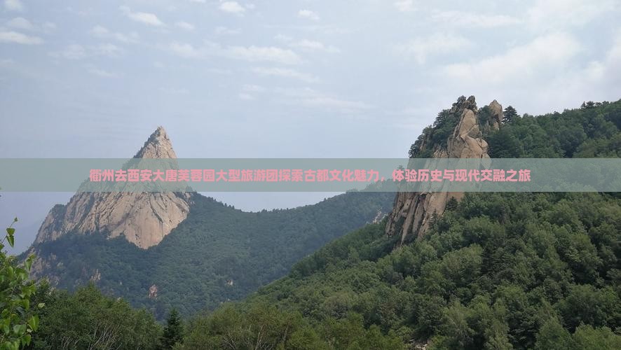 衢州去西安大唐芙蓉园大型旅游团
