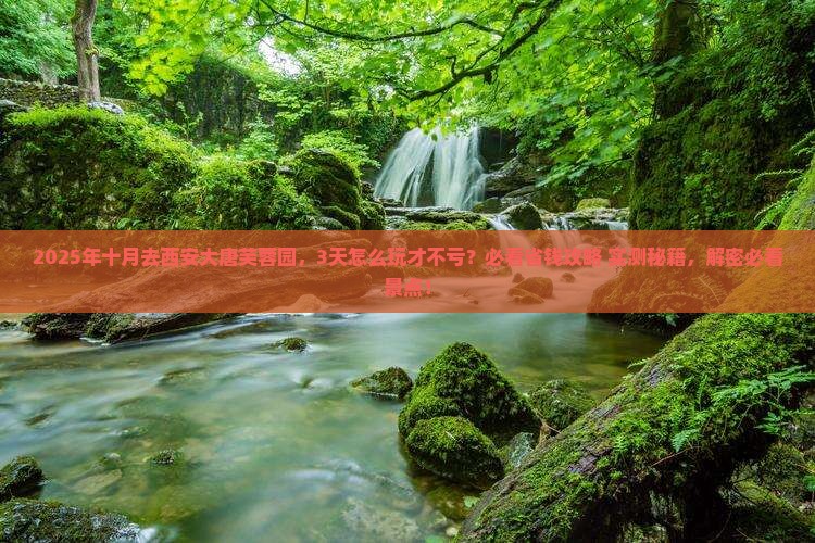 十月去西安大唐芙蓉园三日游
