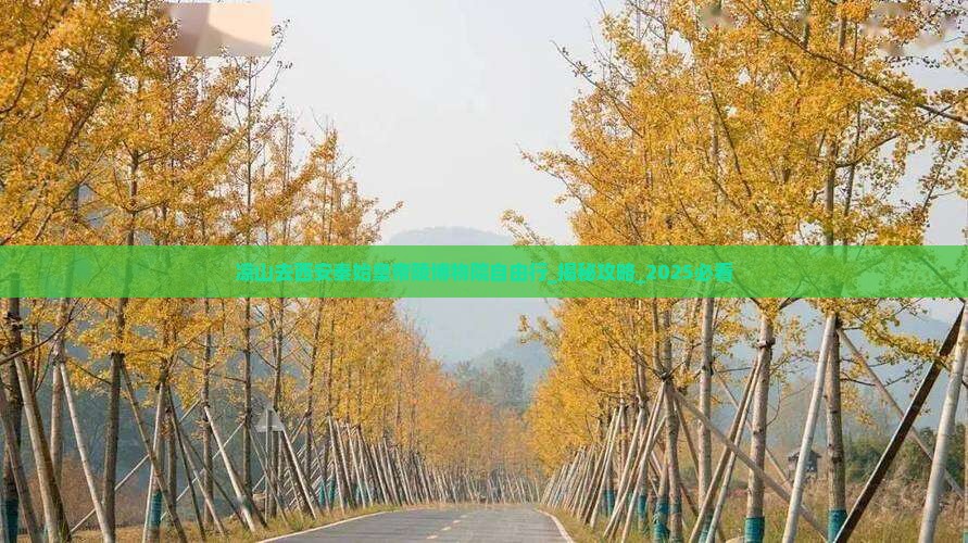 凉山去西安秦始皇帝陵博物院自由行