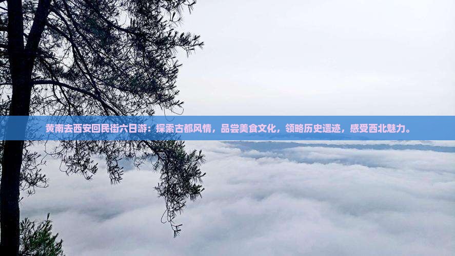 黄南去西安回民街六日游