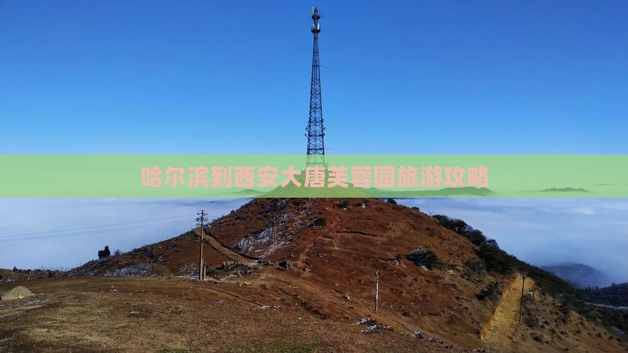 哈尔滨到西安大唐芙蓉园旅游小吃