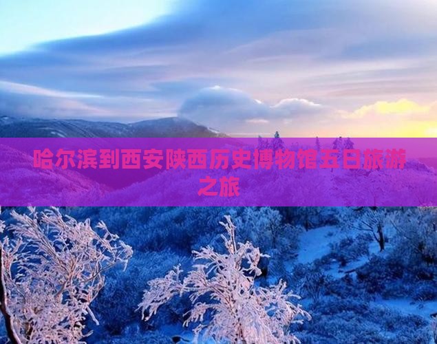 哈尔滨到西安陕西历史博物馆五日游