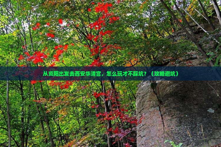 资阳去西安华清宫景点