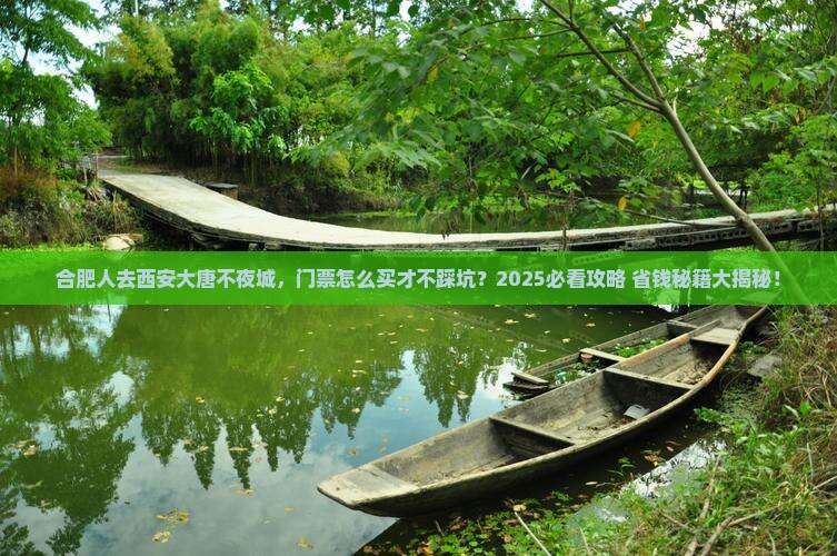 合肥去西安大唐不夜城门票
