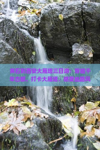 黄石到西安大雁塔三日游
