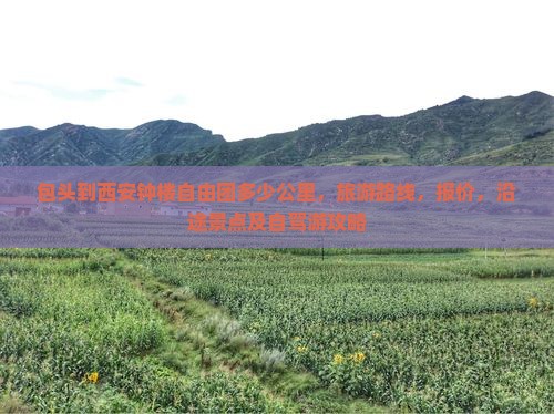 包头到西安钟楼自由团