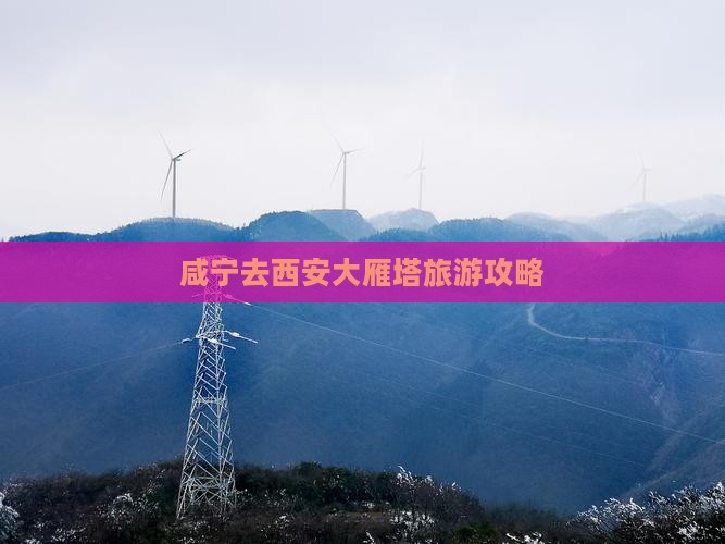 咸宁去西安大雁塔自由团