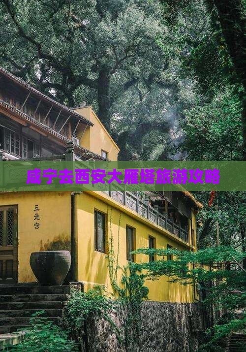 咸宁去西安大雁塔自由团