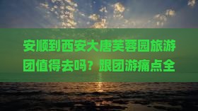 安顺到西安大唐芙蓉园大型旅游团