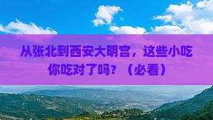 张北到西安大明宫国家遗址公园旅游小吃