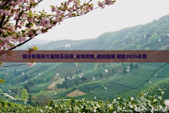 临沂到西安大雁塔五日游