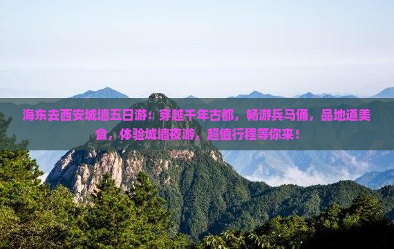 海东去西安城墙五日游