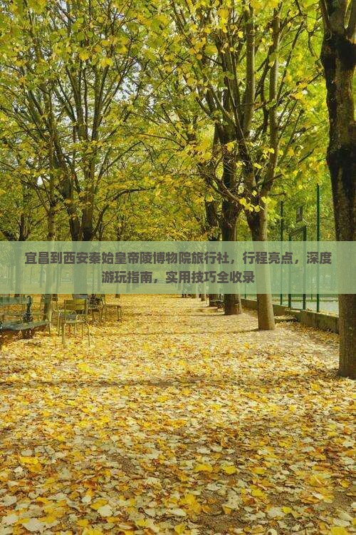 宜昌到西安秦始皇帝陵博物院旅行社