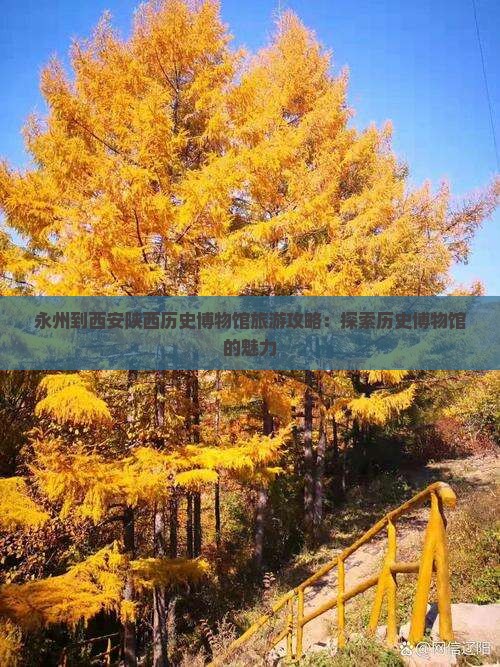 永州到西安陕西历史博物馆旅游