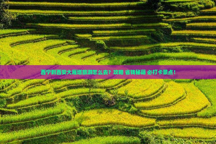 西宁到西安大雁塔旅游